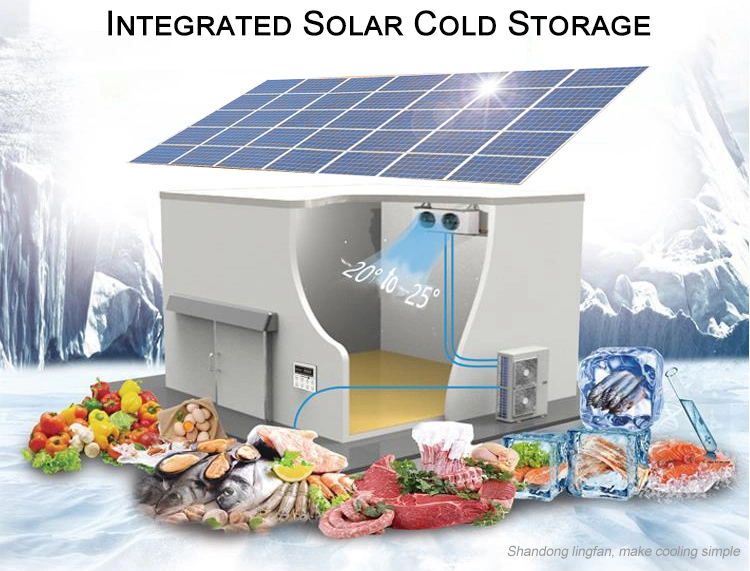 Solar Panel Powder Built-in Battery Deep Cold Freezer Room Storage